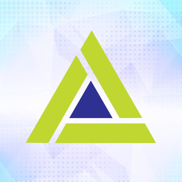 Ace Strategic Plan 2025